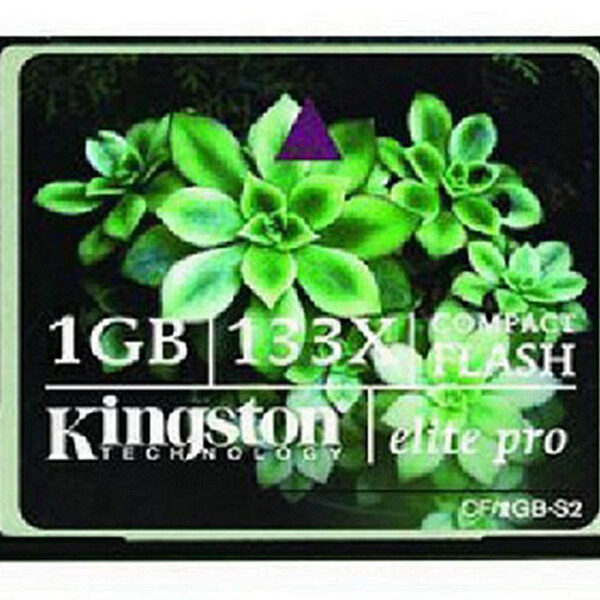 Kingston 1GB CF Card