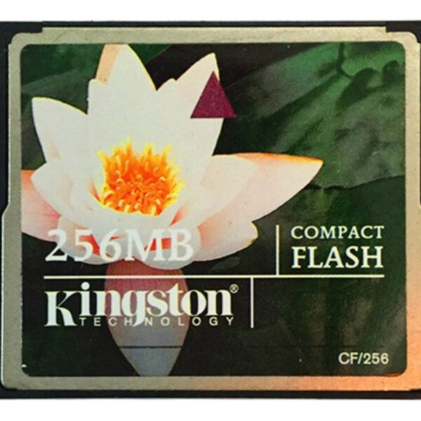 Kingston 256MB CF Card